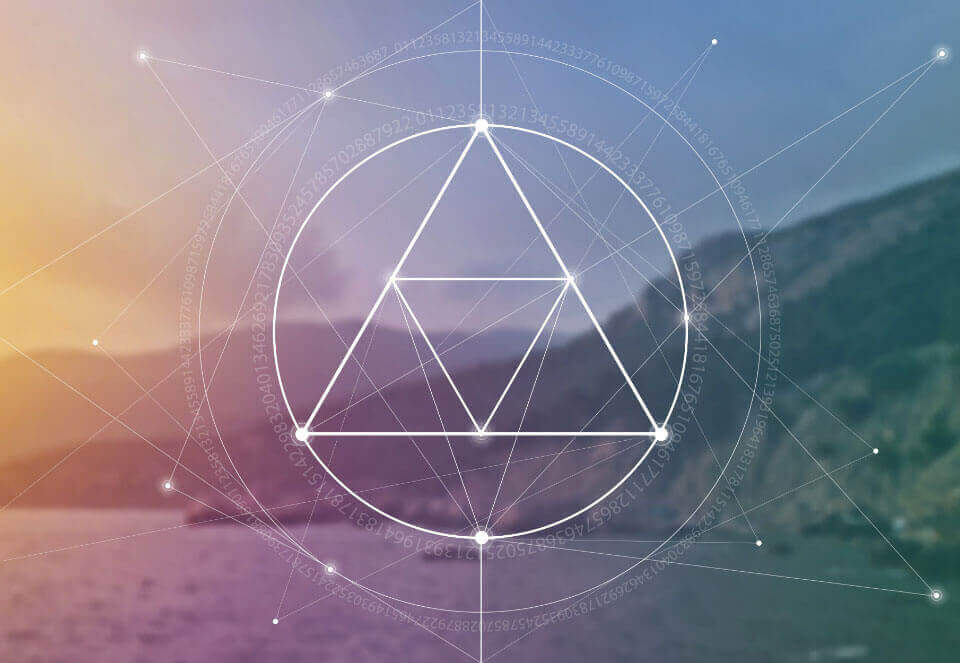 Professional Training img